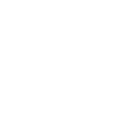 Platform28 Home Page Image Updates_Icon - Data